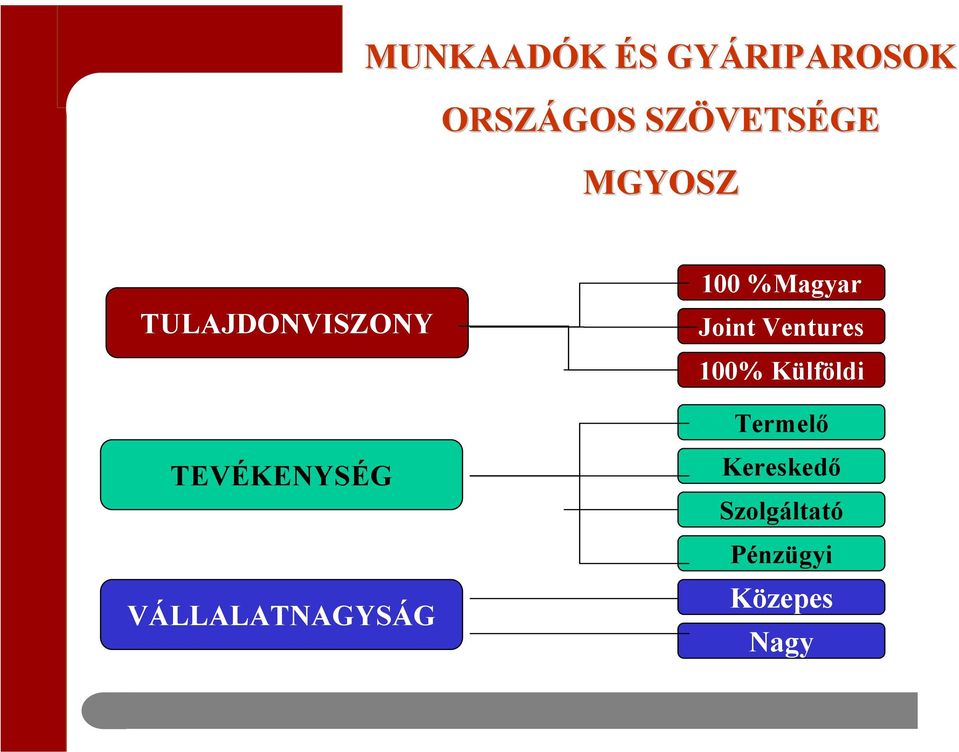 VÁLLALATNAGYSÁG 100 %Magyar Joint Ventures 100%