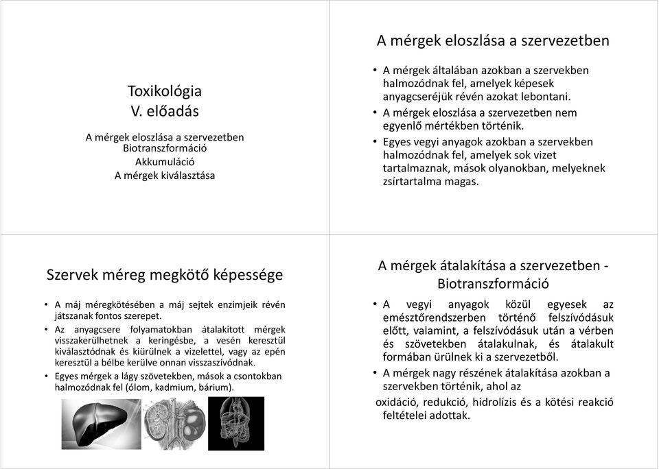 lebontani. A mérgek eloszlása a szervezetben nem egyenlő mértékben történik.