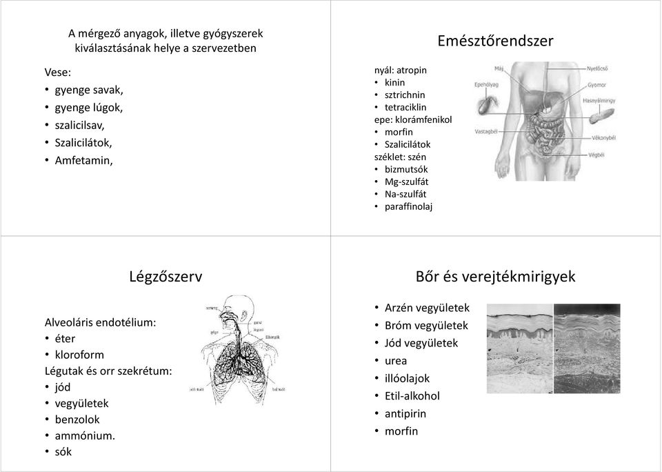 Mg-szulfát Na-szulfát paraffinolaj Emésztőrendszer Légzőszerv Alveoláris endotélium: éter kloroform Légutak és orr szekrétum: jód