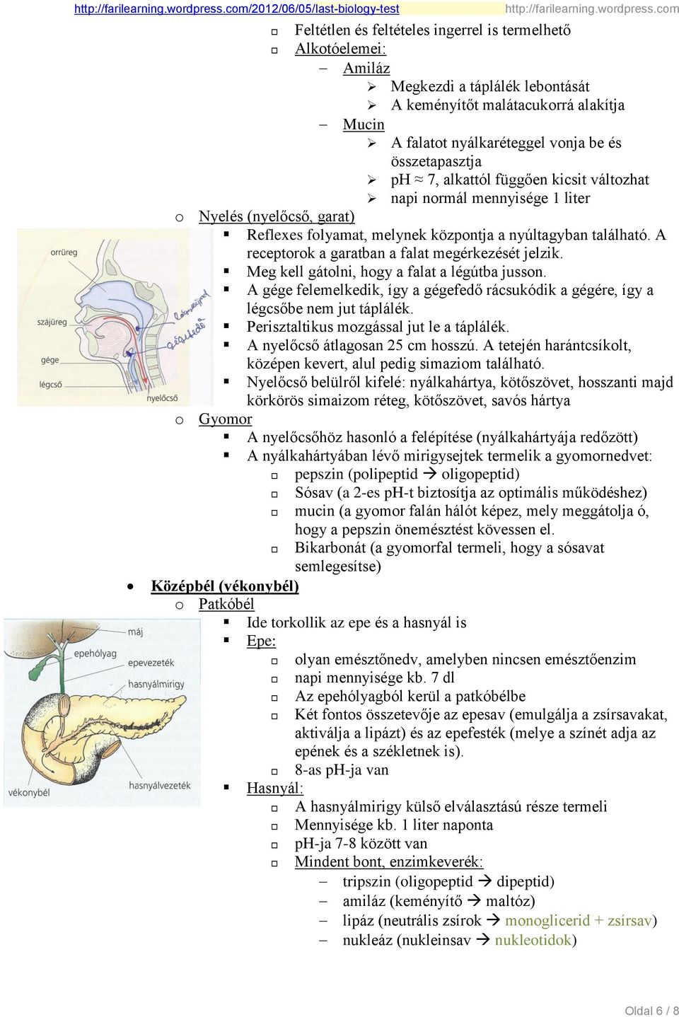 A receptorok a garatban a falat megérkezését jelzik. Meg kell gátolni, hogy a falat a légútba jusson. A gége felemelkedik, így a gégefedő rácsukódik a gégére, így a légcsőbe nem jut táplálék.