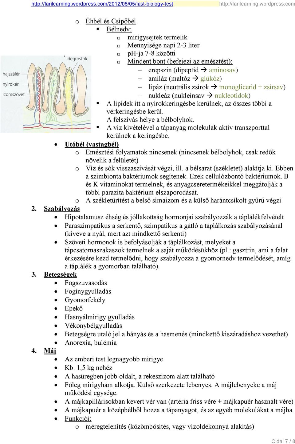 A felszívás helye a bélbolyhok. A víz kivételével a tápanyag molekulák aktív transzporttal kerülnek a keringésbe.