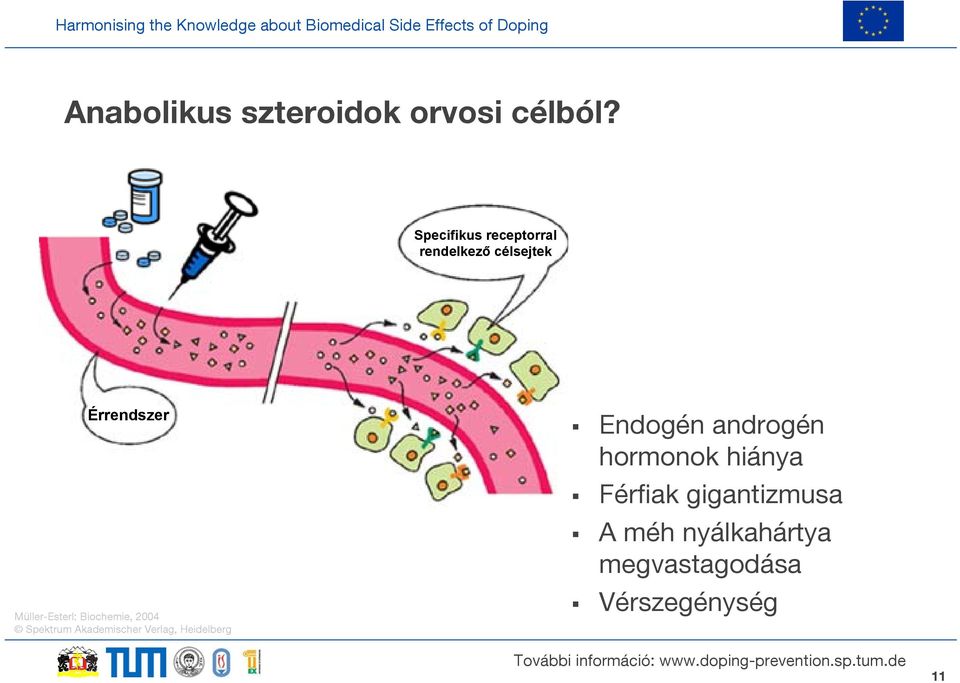 Müller-Esterl: Biochemie, 2004 Spektrum Akademischer Verlag,