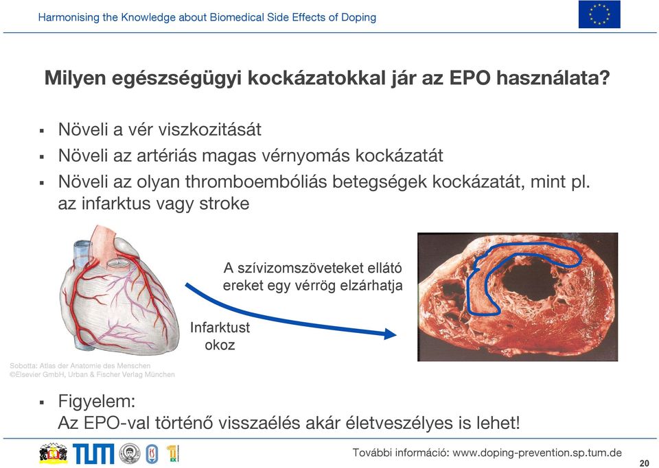betegségek kockázatát, mint pl.