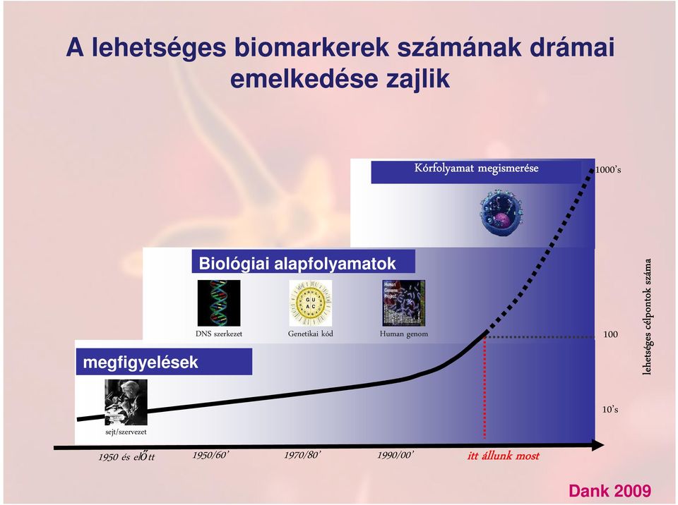 szerkezet Genetikai kód Human genom 100 lehetséges célpontok száma 10