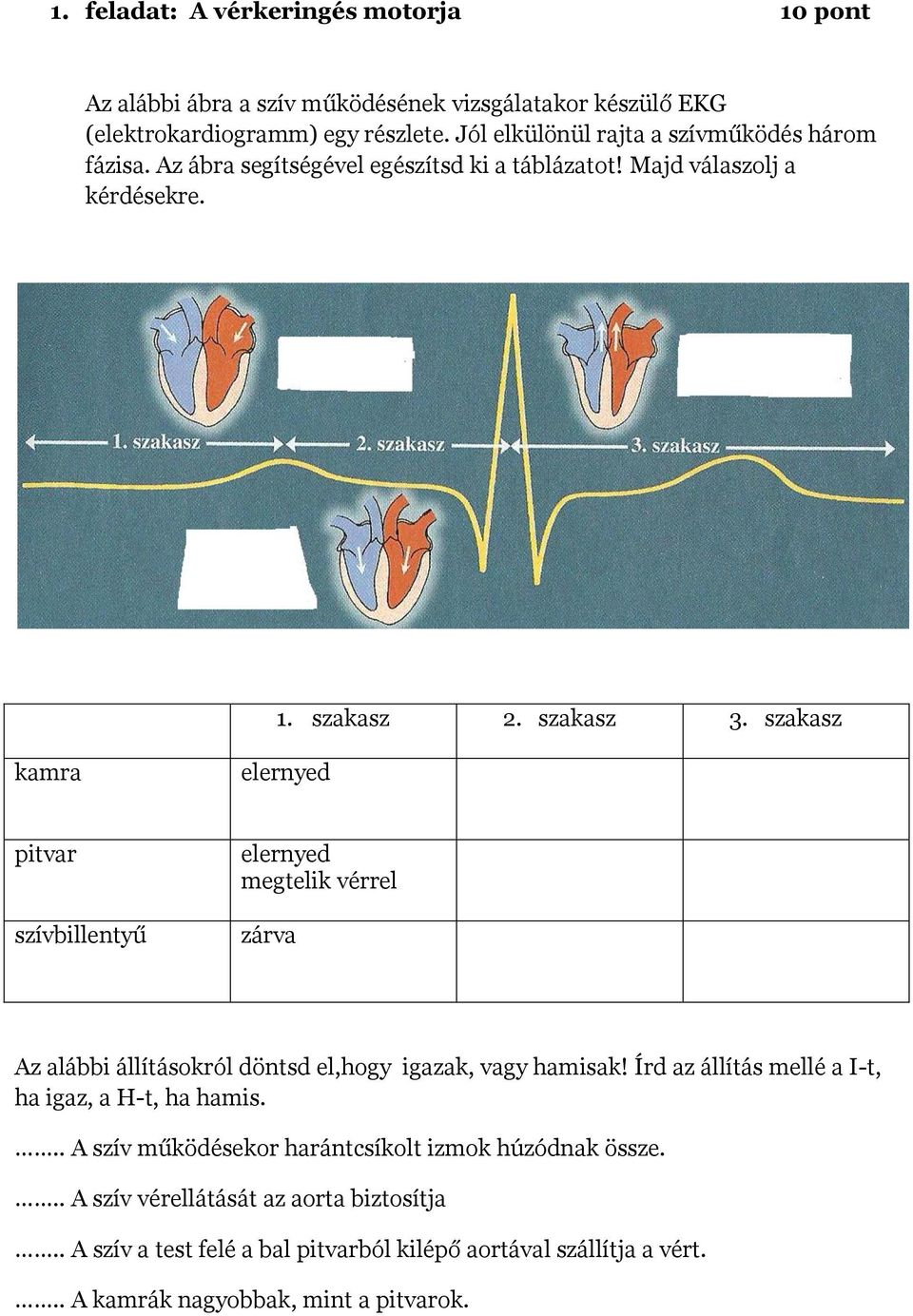 szakasz kamra elernyed pitvar szívbillentyű elernyed megtelik vérrel zárva Az alábbi állításokról döntsd el,hogy igazak, vagy hamisak!