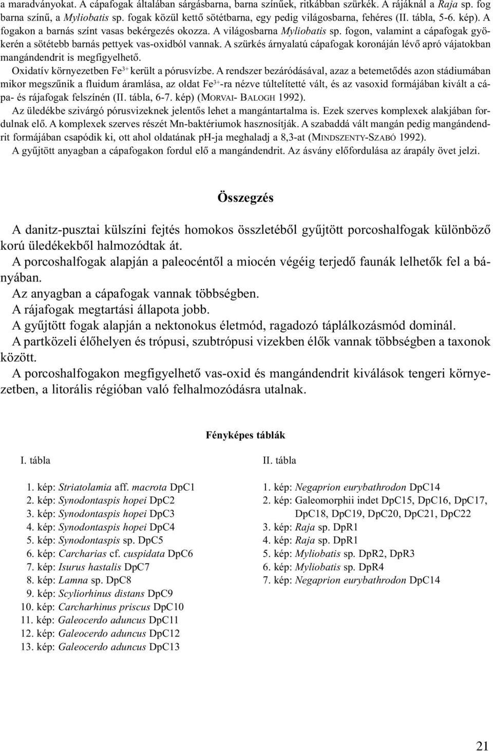 fogon, valamint a cápafogak gyökerén a sötétebb barnás pettyek vas-oxidból vannak. A szürkés árnyalatú cápafogak koronáján lévõ apró vájatokban mangándendrit is megfigyelhetõ.