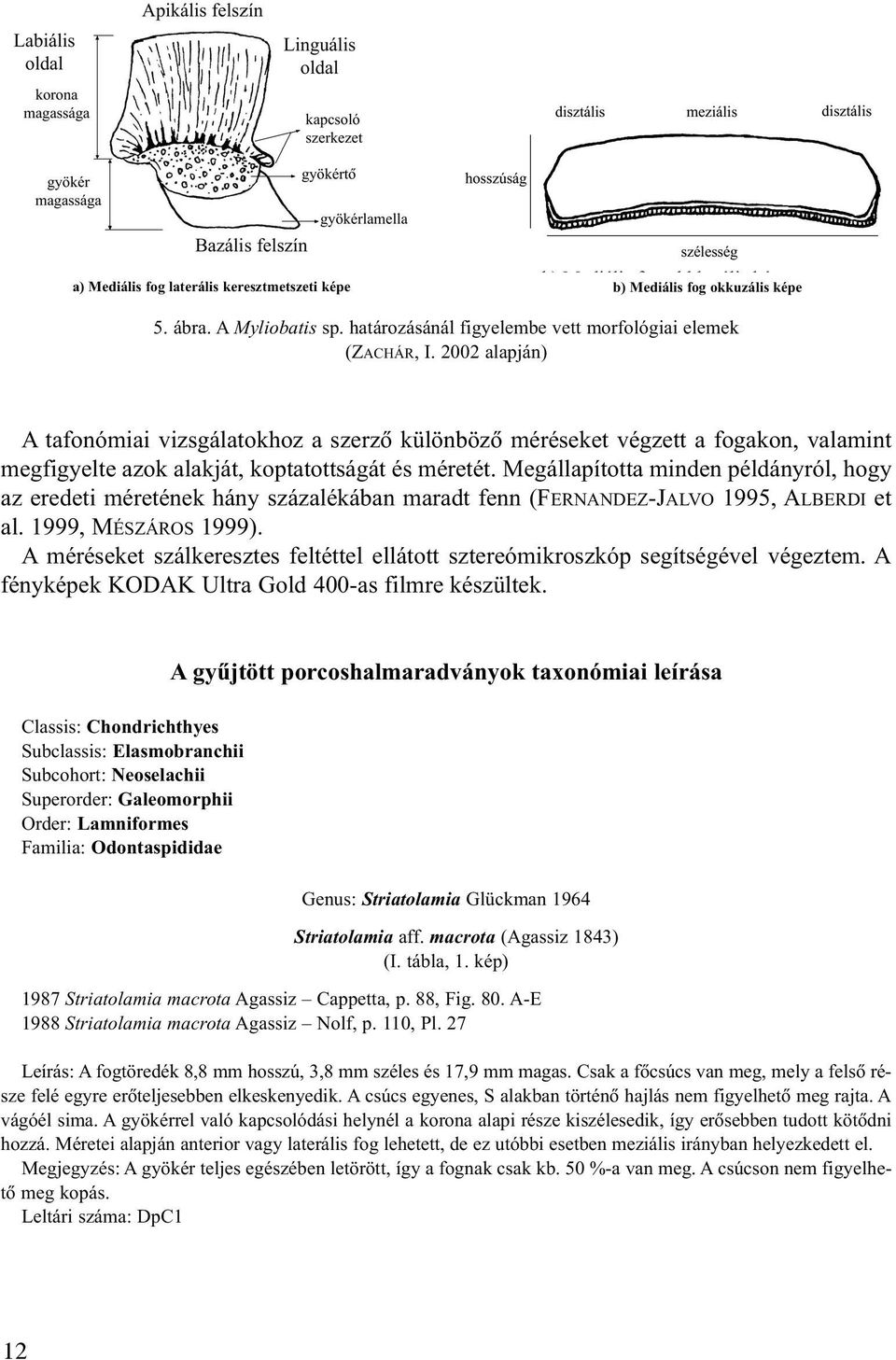 Megállapította minden példányról, hogy az eredeti méretének hány százalékában maradt fenn (FERNANDEZ-JALVO 1995, ALBERDI et al. 1999, MÉSZÁROS 1999).