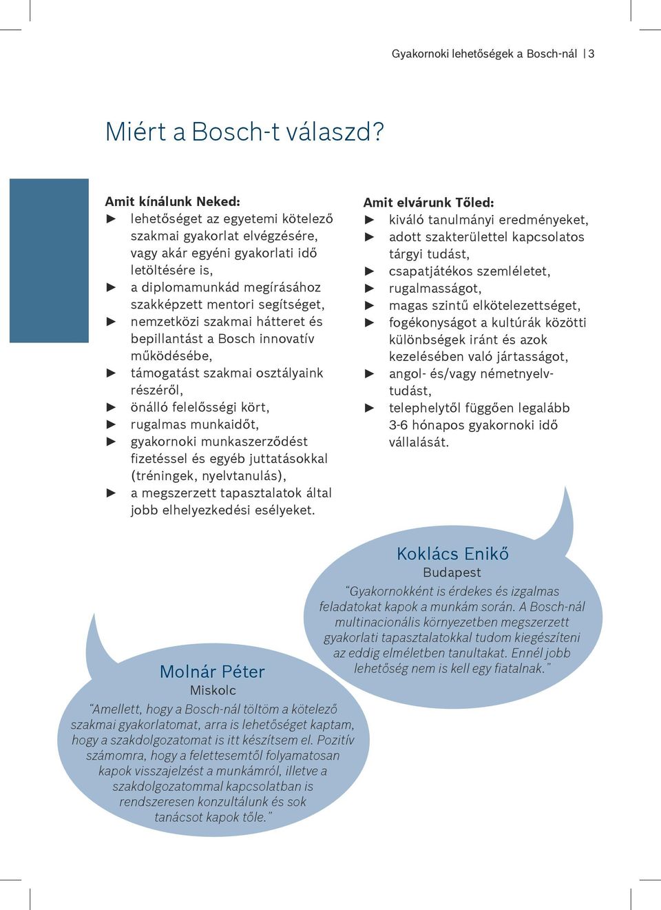 Gyakornoki lehetőségek a Bosch-nál - PDF Ingyenes letöltés