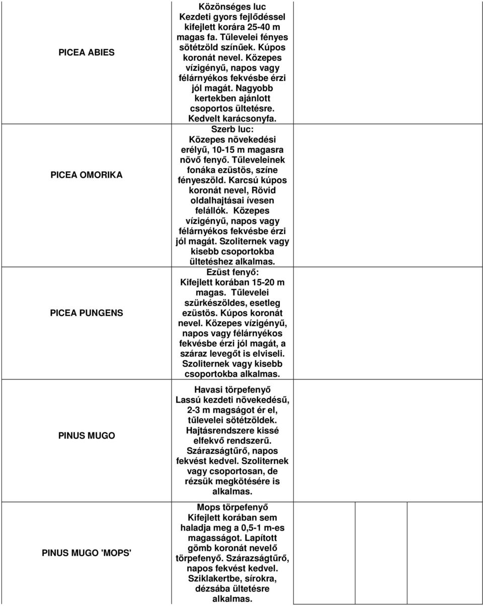 Szerb luc: Közepes növekedési erélyő, 10-15 m magasra növı fenyı. Tőleveleinek fonáka ezüstös, színe fényeszöld. Karcsú kúpos koronát nevel, Rövid oldalhajtásai ívesen felállók.