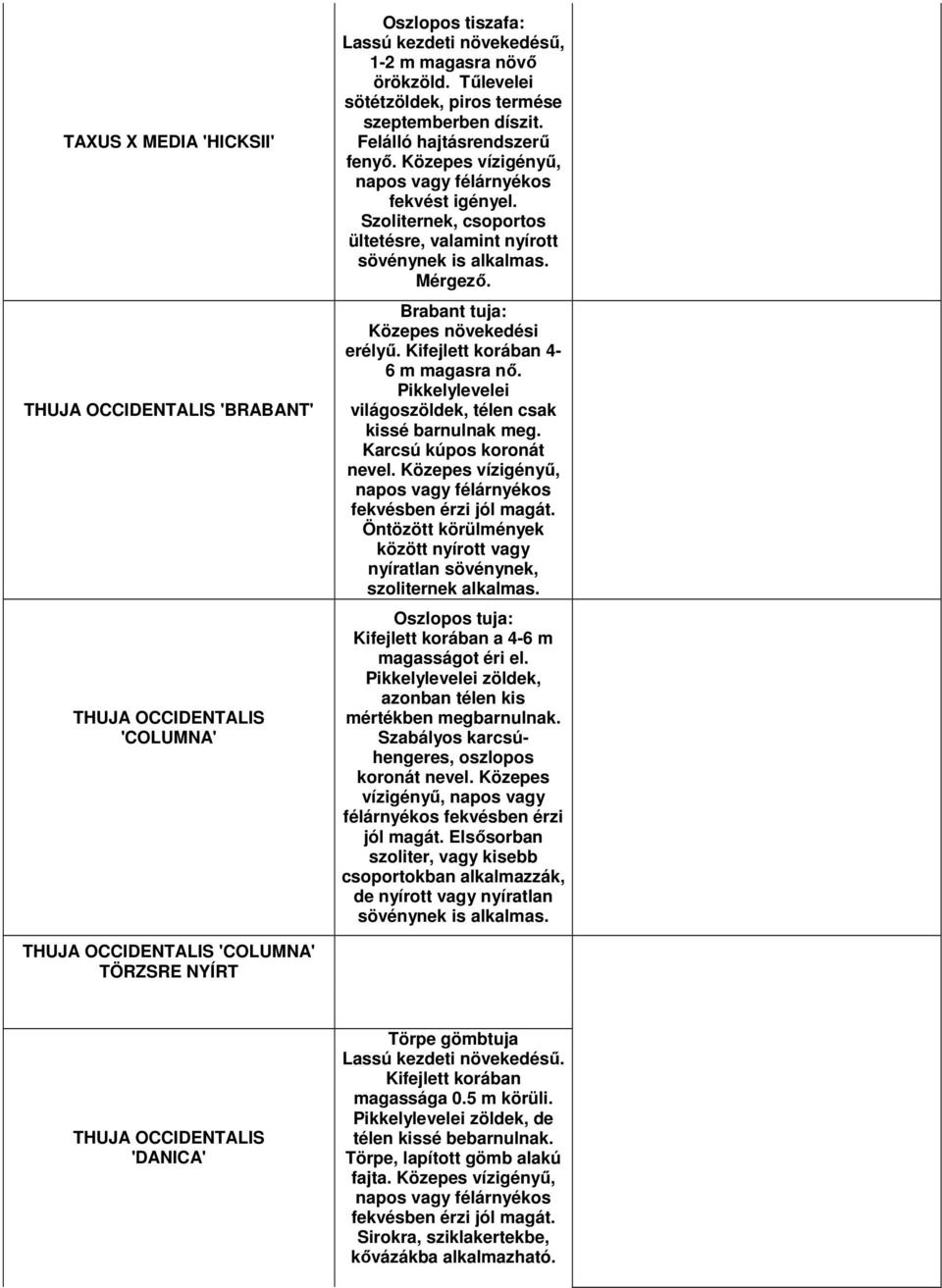 Szoliternek, csoportos ültetésre, valamint nyírott sövénynek is Mérgezı. Brabant tuja: Közepes növekedési erélyő. Kifejlett korában 4-6 m magasra nı.