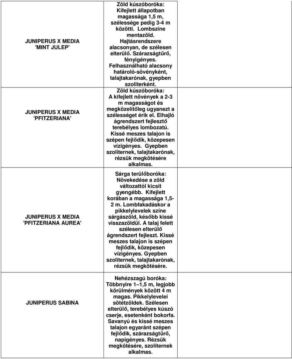 Zöld kúszóboróka: A kifejlett növények a 2-3 m magasságot és megközelítıleg ugyanezt a szélességet érik el. Elhajló ágrendszert fejlesztı terebélyes lombozatú.