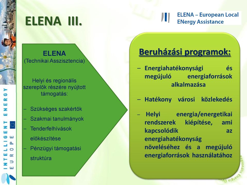 Szakmai tanulmányok Tenderfelhívások előkészítése Pénzügyi támogatási struktúra Beruházási programok: