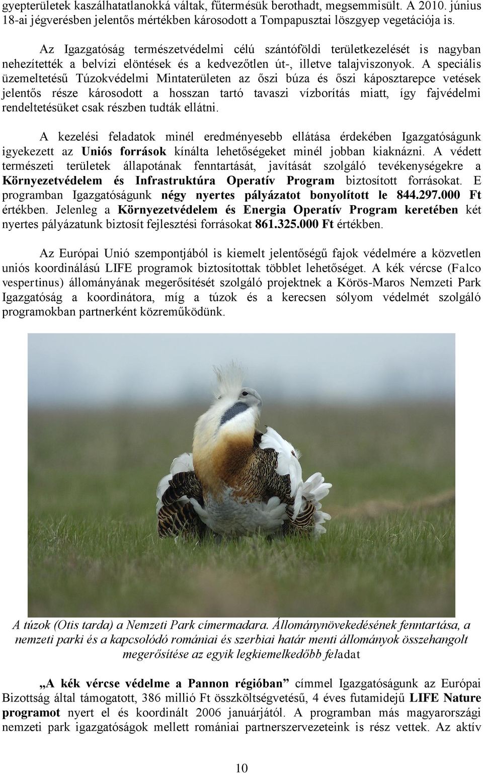 A speciális üzemeltetésű Túzokvédelmi Mintaterületen az őszi búza és őszi káposztarepce vetések jelentős része károsodott a hosszan tartó tavaszi vízborítás miatt, így fajvédelmi rendeltetésüket csak