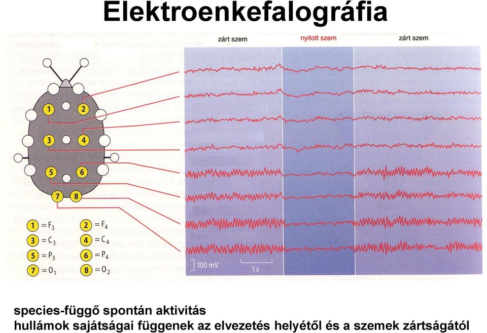 hullámok sajátságai függenek az