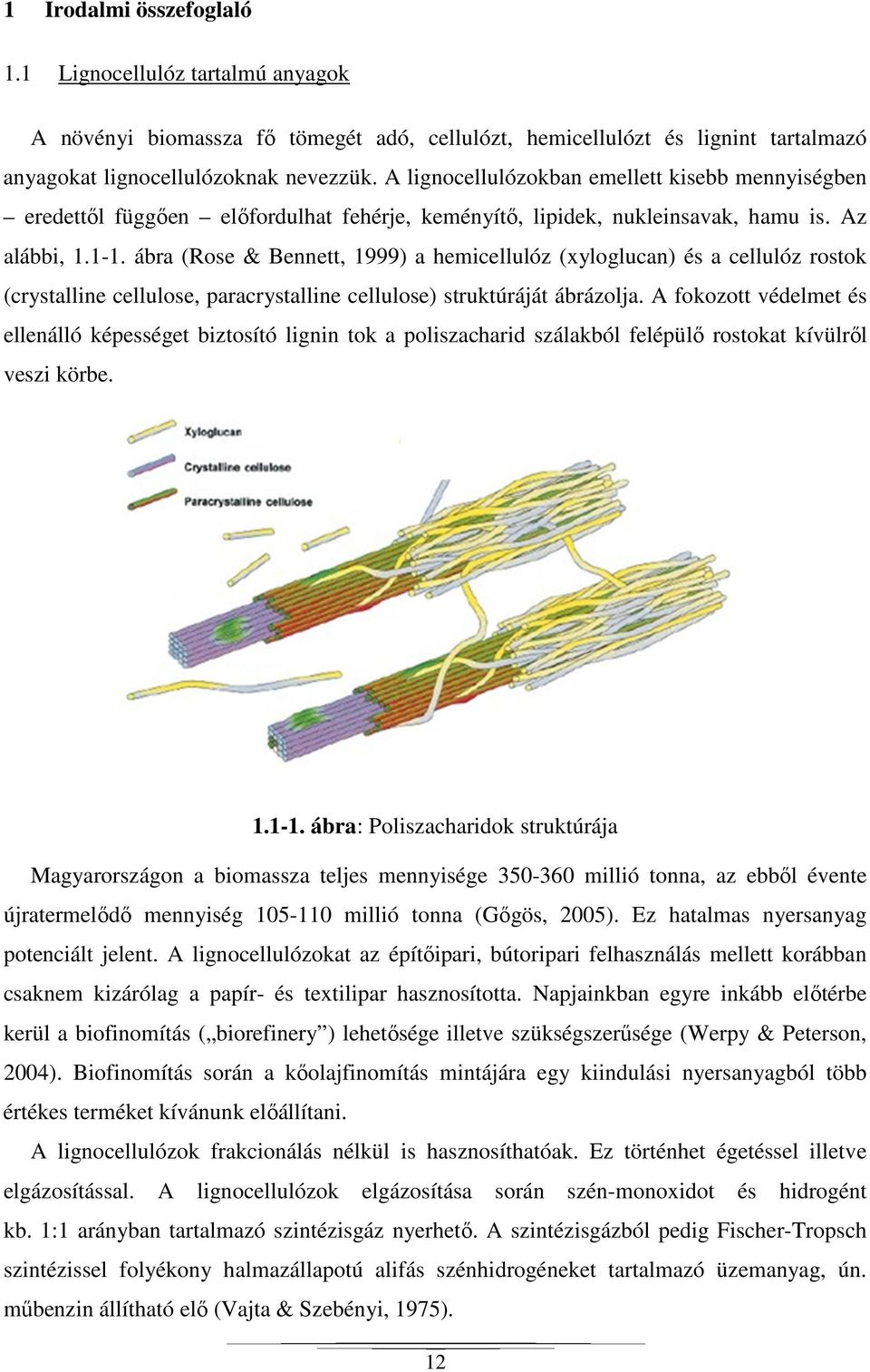 ábra (Rose & Bennett, 1999) a hemicellulóz (xyloglucan) és a cellulóz rostok (crystalline cellulose, paracrystalline cellulose) struktúráját ábrázolja.
