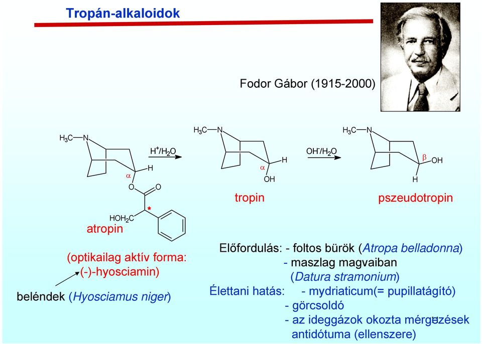 ALKALOIDOK. - Nitrogétatomot tartalmazó természetes anyagok, döntően  növényi és részben állati eredet - PDF Free Download