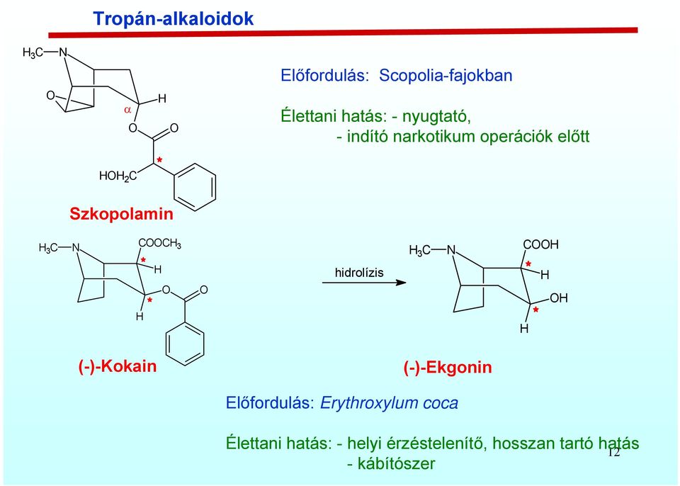 C C hidrolízis (-)-Kokain (-)-Ekgonin Előfordulás: Erythroxylum coca