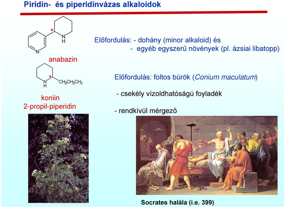 ázsiai libatopp) C 2 C 2 C 3 koniin 2-propil-piperidin Előfordulás: foltos