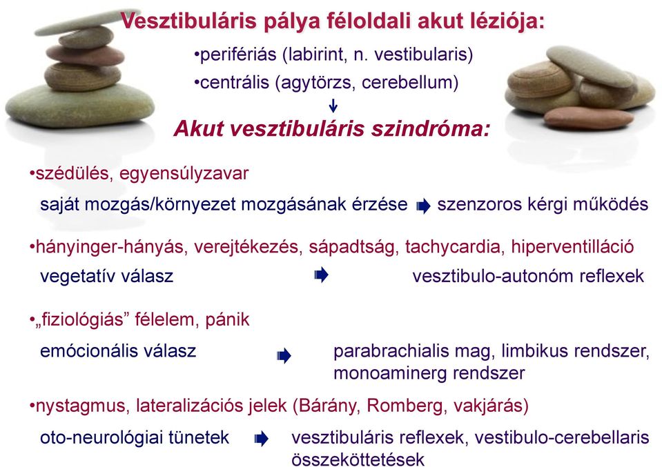 működés hányinger-hányás, verejtékezés, sápadtság, tachycardia, hiperventilláció vegetatív válasz vesztibulo-autonóm reflexek fiziológiás
