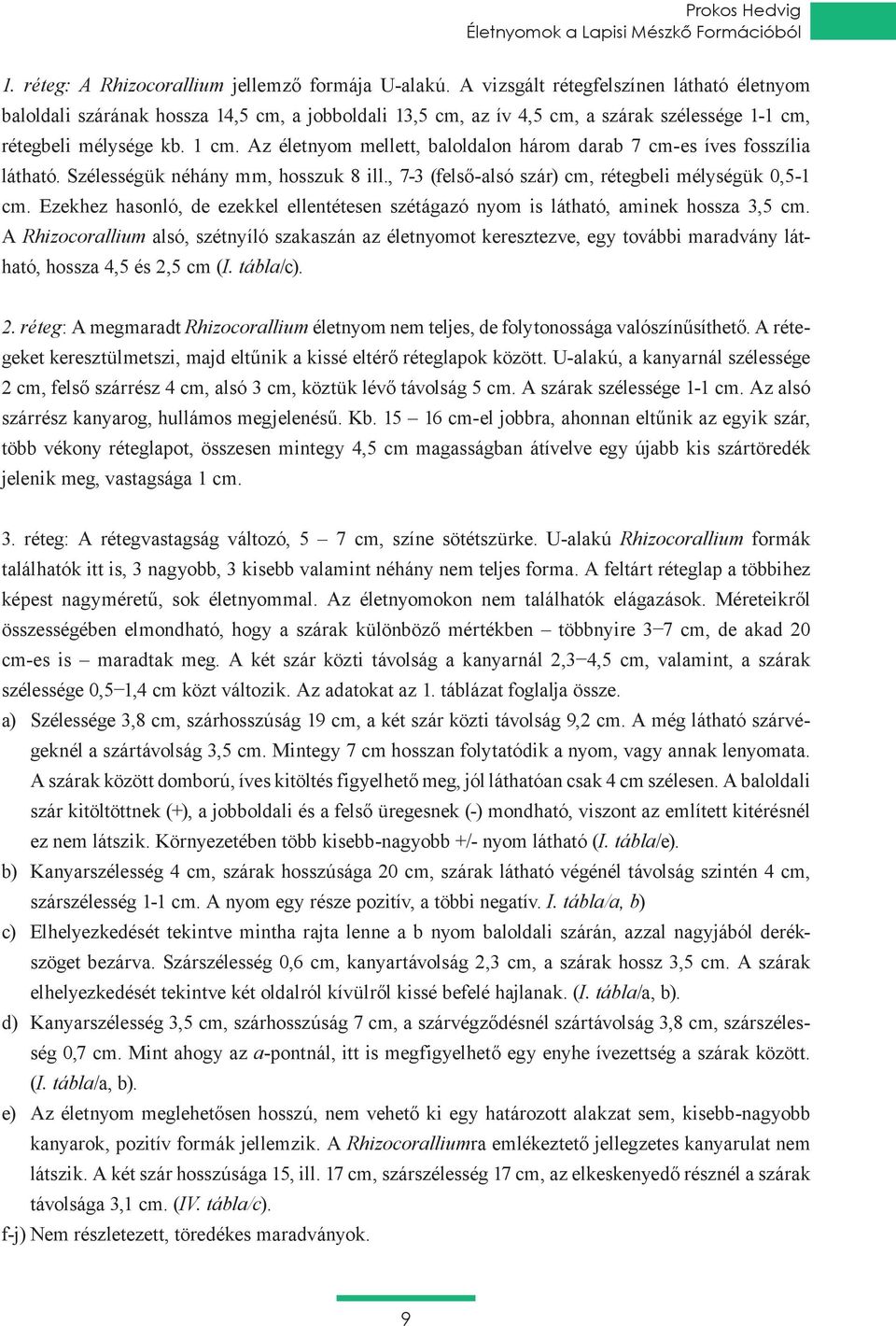 Az életnyom mellett, baloldalon három darab 7 cm-es íves fosszília látható. Szélességük néhány mm, hosszuk 8 ill., 7-3 (felső-alsó szár) cm, rétegbeli mélységük 0,5-1 cm.