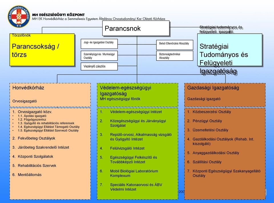 Orvosigazgató közv. 1.1. Ápolási igazgató 1.2. Főgyógyszerész 1.3. Gyógyító és rehabilitációs referensek 1.4. Egészségügyi Ellátást Támogató 1.5. Egészségügyi Ellátást Szervező 2. Fekvőbeteg ok 3.