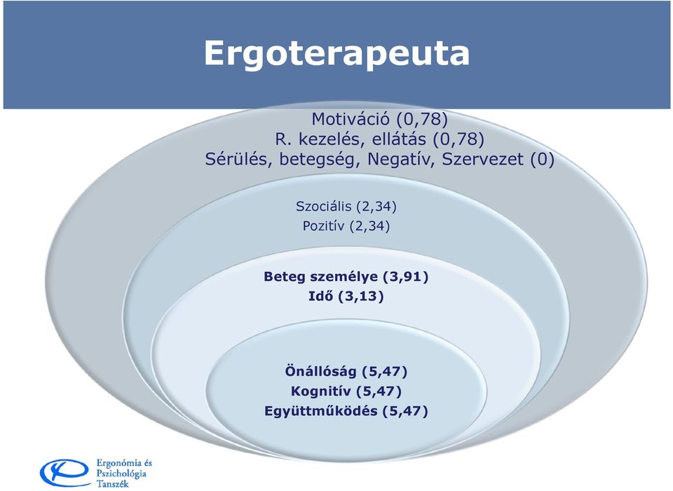 Szervezet (0) Szociális (2,34) Pozitív (2,34) Beteg