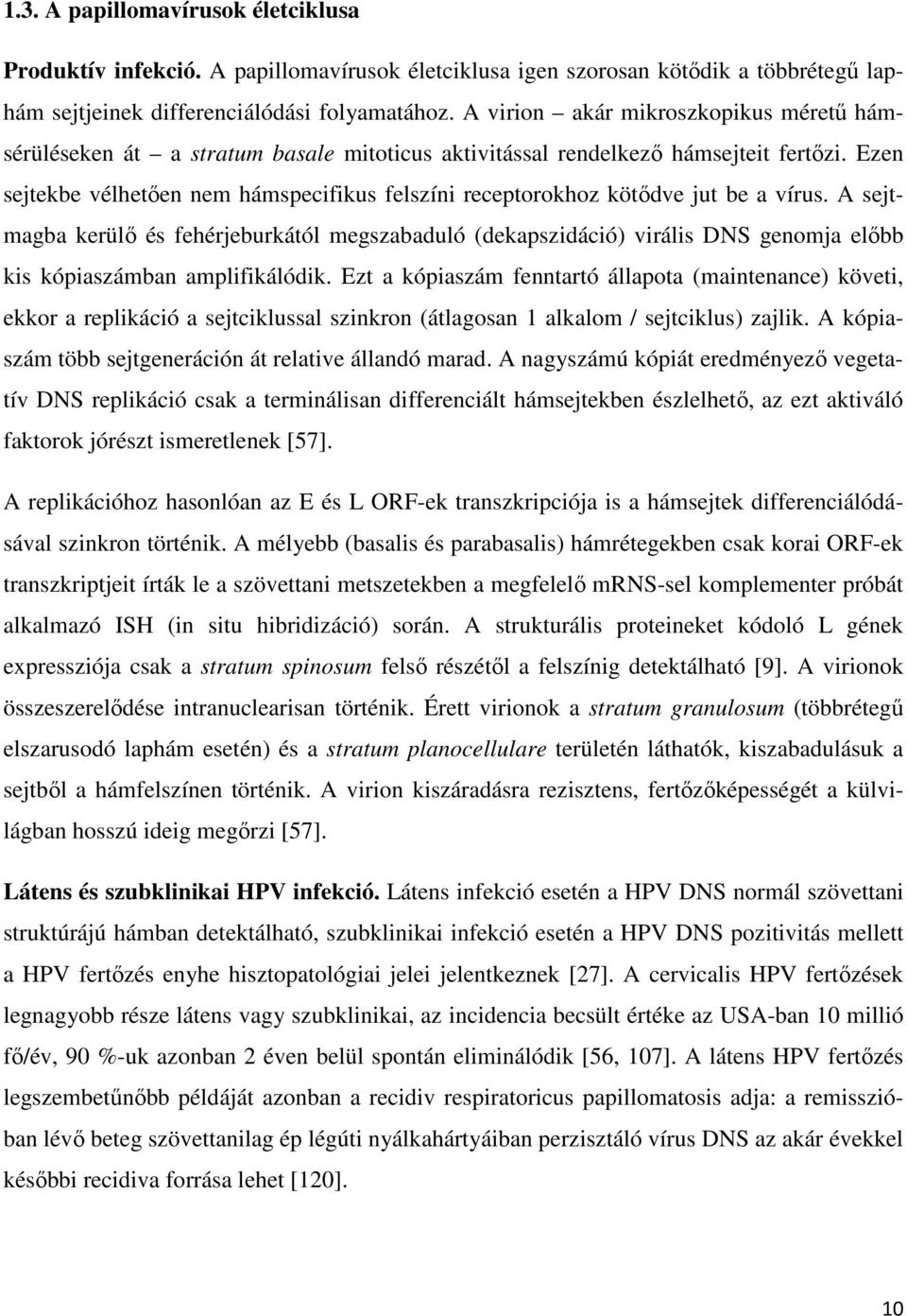 Ezen sejtekbe vélhetően nem hámspecifikus felszíni receptorokhoz kötődve jut be a vírus.