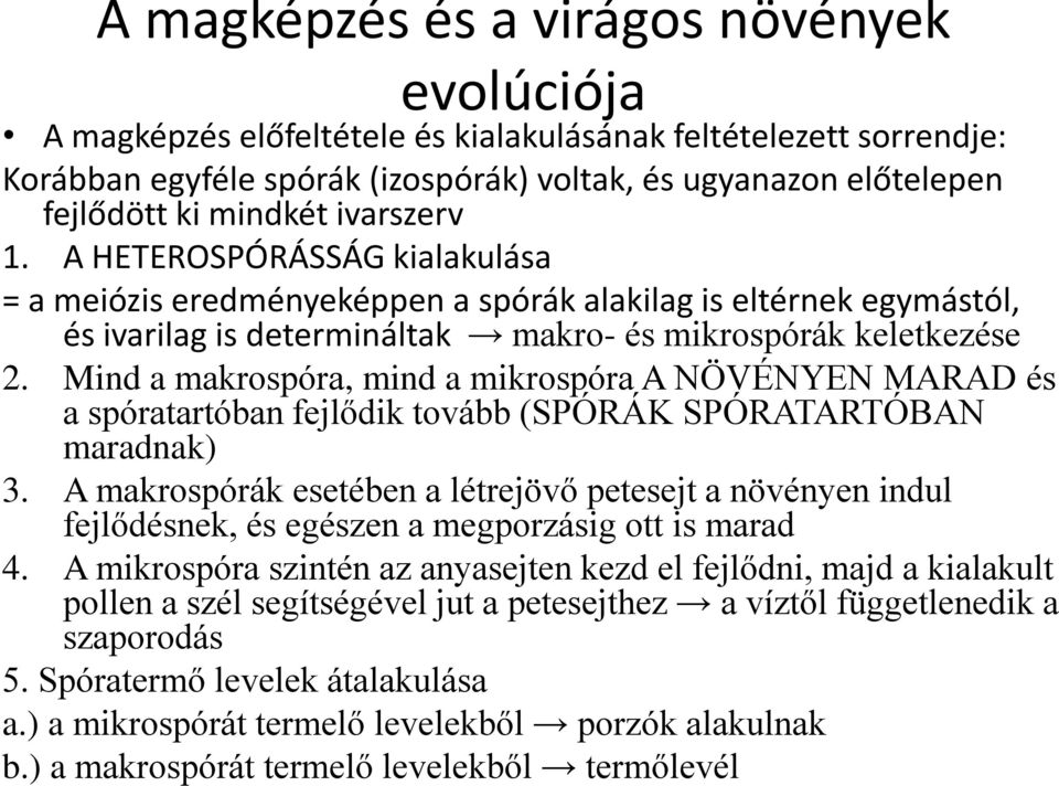 Mind a makrospóra, mind a mikrospóra A NÖVÉNYEN MARAD és a spóratartóban fejlődik tovább (SPÓRÁK SPÓRATARTÓBAN maradnak) 3.