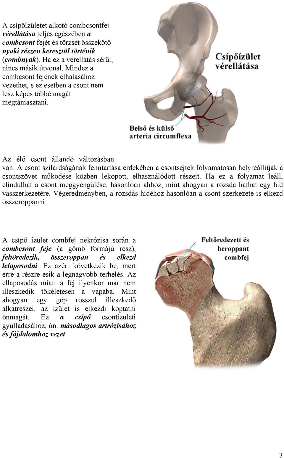 futópad a csípőízület artrózisához
