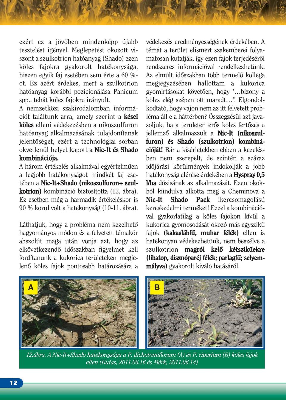 Ez azért érdekes, mert a szulkotrion hatóanyag korábbi pozicionálása Panicum spp., tehát köles fajokra irányult.