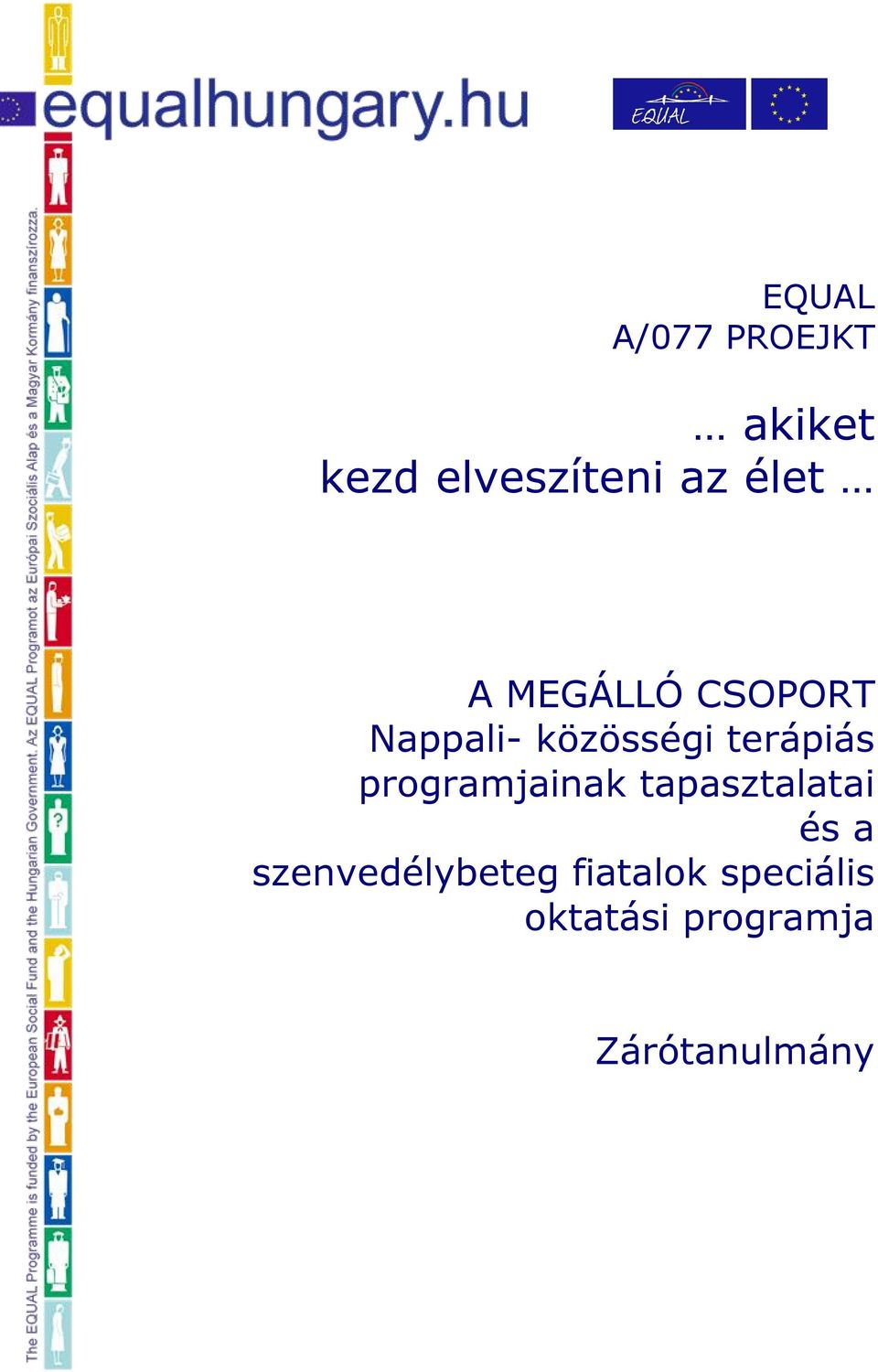 programjainak tapasztalatai és a szenvedélybeteg