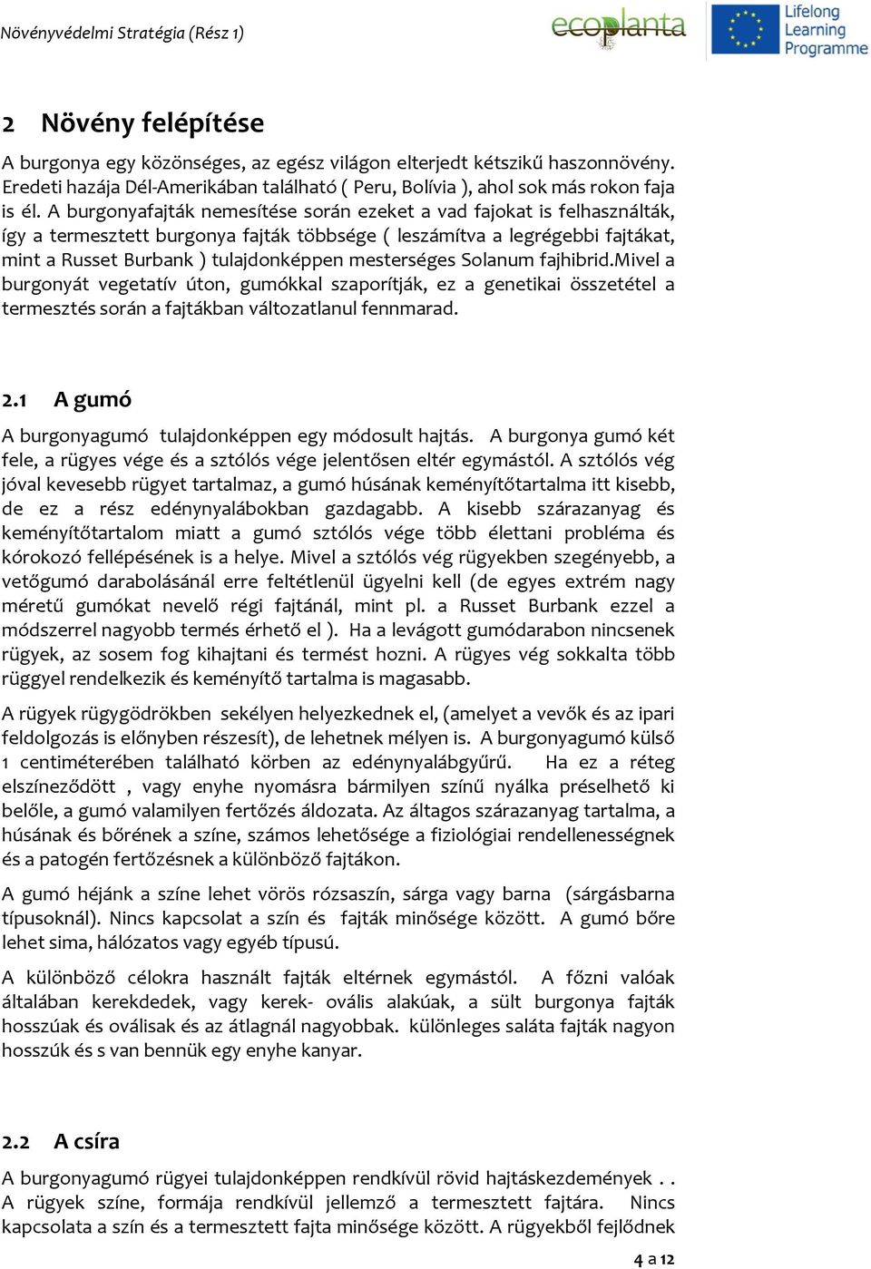 mesterséges Solanum fajhibrid.mivel a burgonyát vegetatív úton, gumókkal szaporítják, ez a genetikai összetétel a termesztés során a fajtákban változatlanul fennmarad. 2.