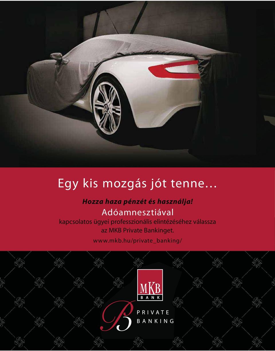 Adóamnesztiával kapcsolatos ügyei