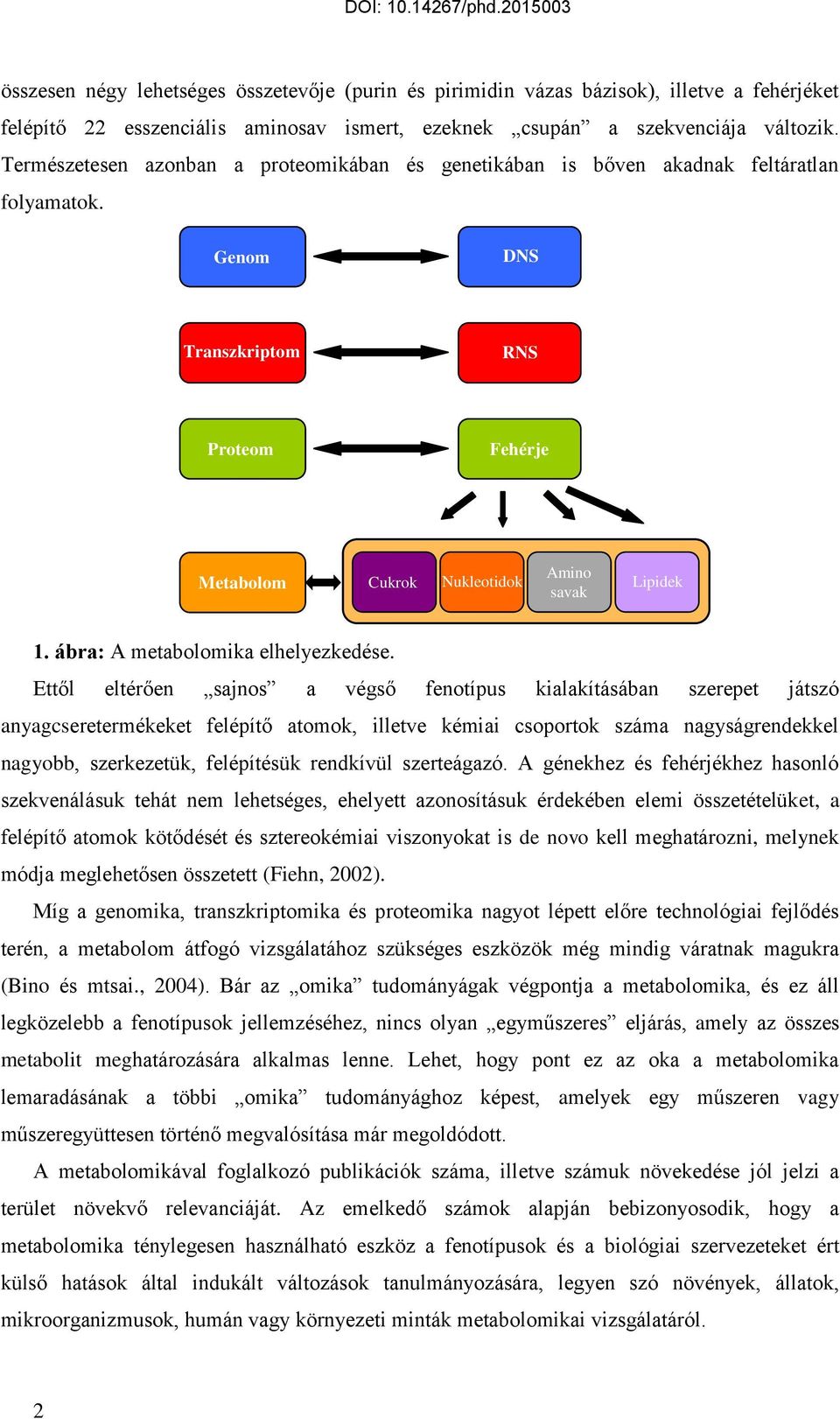 ábra: A metabolomika elhelyezkedése.