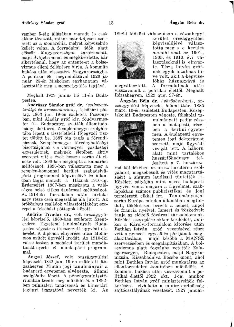 A kommün bukása után visszatért Magyarországba. A politikai élet megindulásával 1920 január 25-én Miskolcon egyhangúan választották meg a (nemzetgyűlés tagjává.
