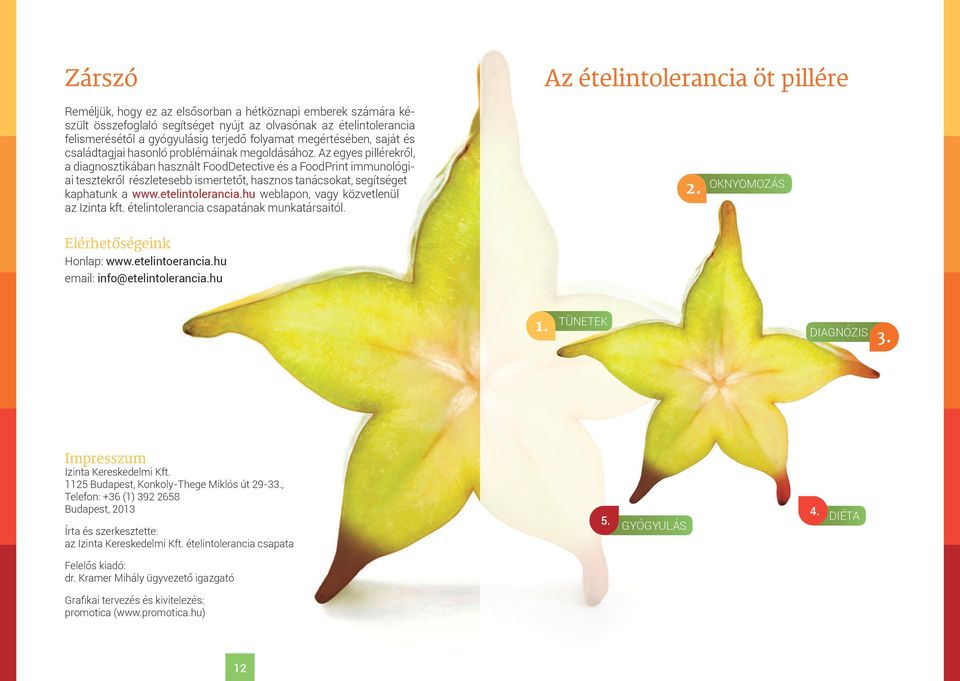 Az egyes pillérekről, a diagnosztikában használt FoodDetective és a FoodPrint immunológiai tesztekről részletesebb ismertetőt, hasznos tanácsokat, segítséget kaphatunk a www.etelintolerancia.