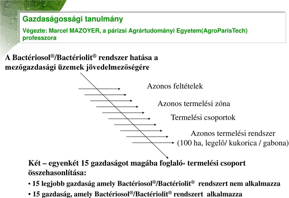 Azonos termelési rendszer (100 ha, legelő/ kukorica / gabona) Két egyenkét 15 gazdaságot magába foglaló- termelési csoport