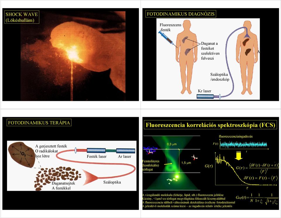 fluoreszcenciaingadozás A vizsgálandó molekula (fehérje, lipid, stb.