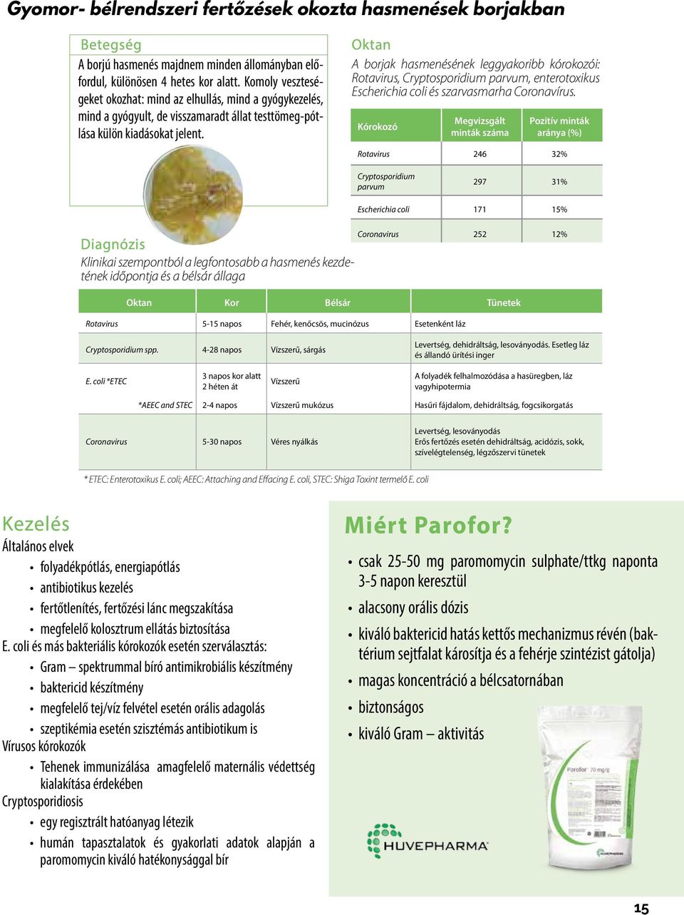 Oktan A borjak hasmenésének leggyakoribb kórokozói: Rotavirus, Cryptosporidium parvum, enterotoxikus Escherichia coli és szarvasmarha Coronavírus.
