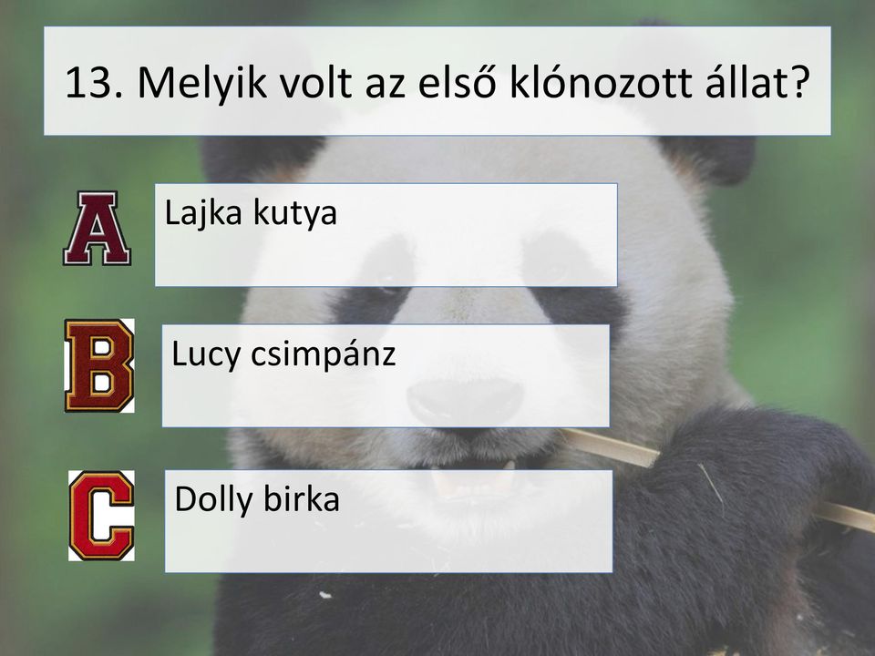 állat?