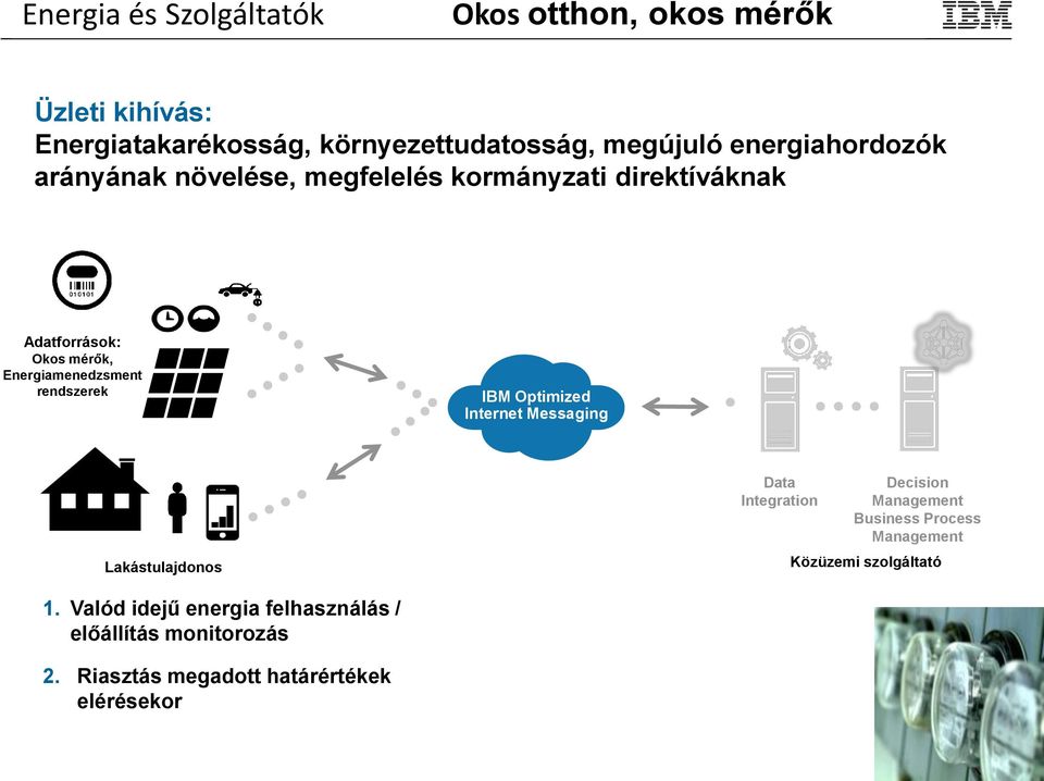 rendszerek IBM Optimized Internet Messaging Lakástulajdonos Data Integration Decision Management Business Process