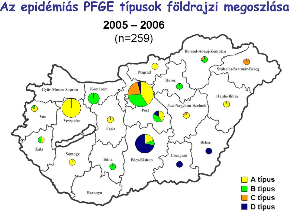 PFGE