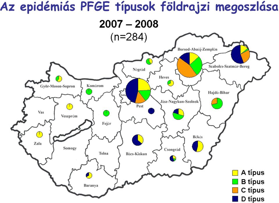 PFGE
