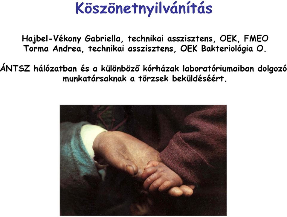 OEK Bakteriológia O.