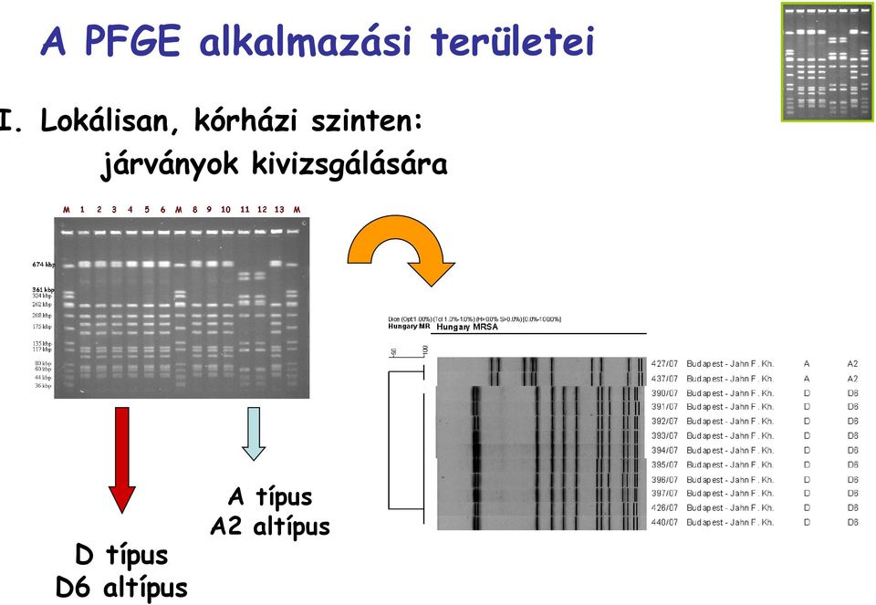 járványok kivizsgálására D