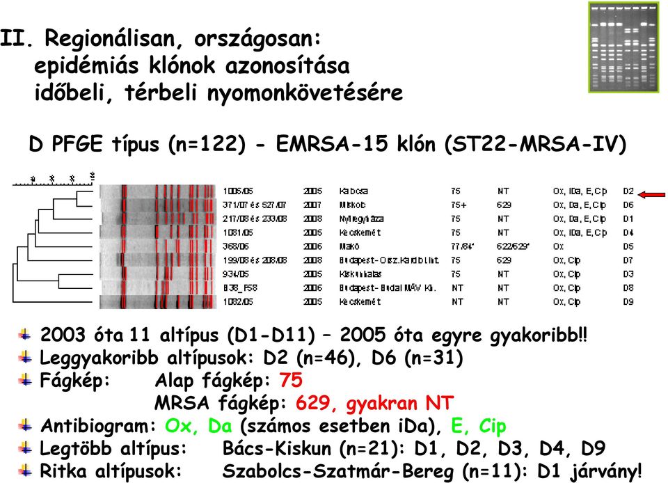 ! Leggyakoribb altípusok: D2 (n=46), D6 (n=31) Fágkép: Alap fágkép: 75 MRSA fágkép: 629, gyakran NT Antibiogram: