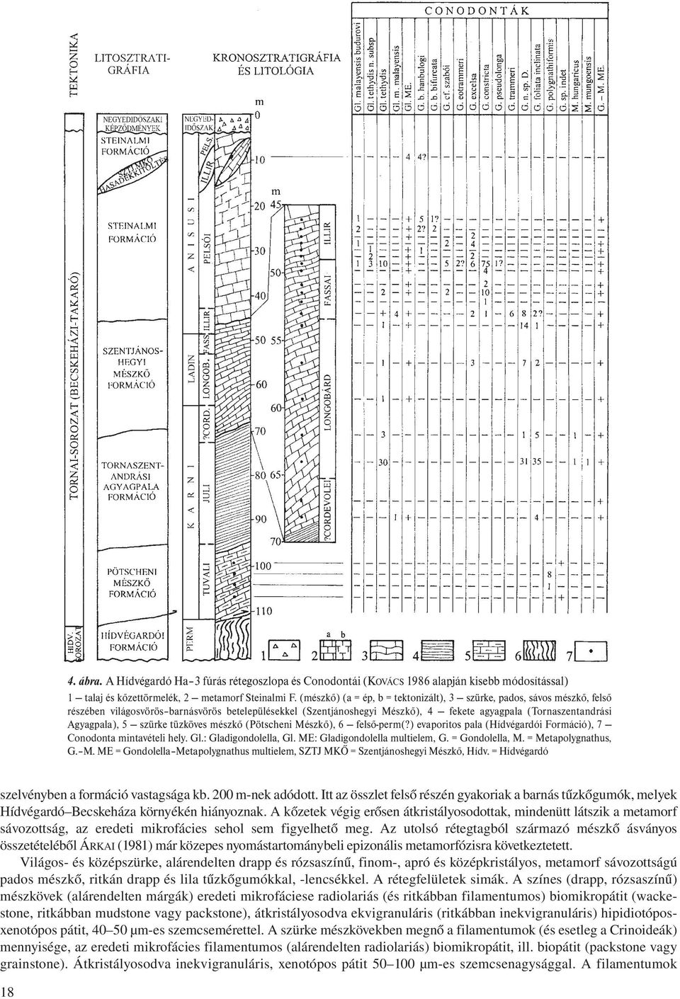 5 szürke tüzköves mészkő (Pötscheni Mészkő), 6 felső-perm(?) evaporitos pala (Hídvégardói Formáció), 7 Conodonta mintavételi hely. Gl.: Gladigondolella, Gl. ME: Gladigondolella multielem, G.