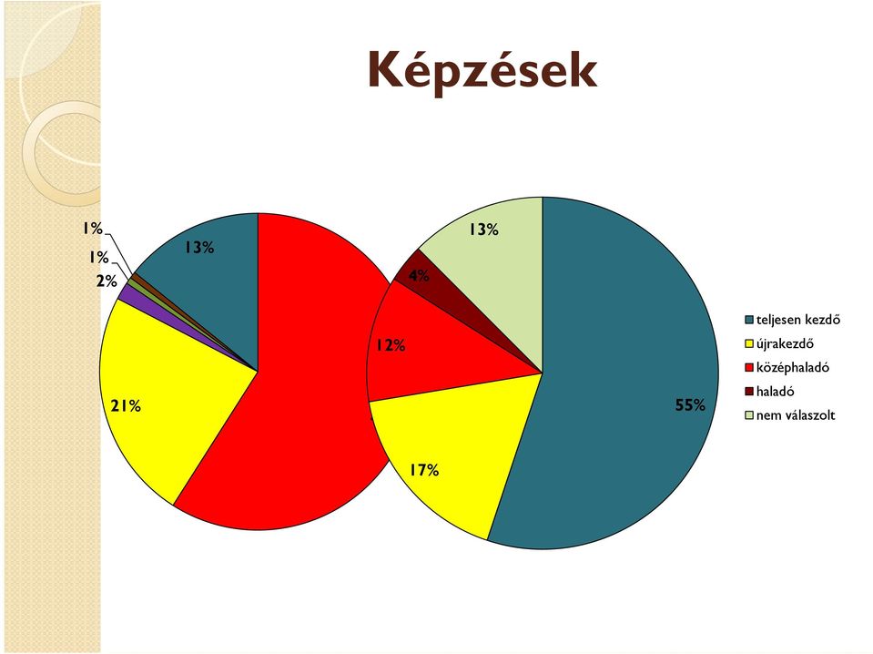 informatikai 55% teljesen kezdő