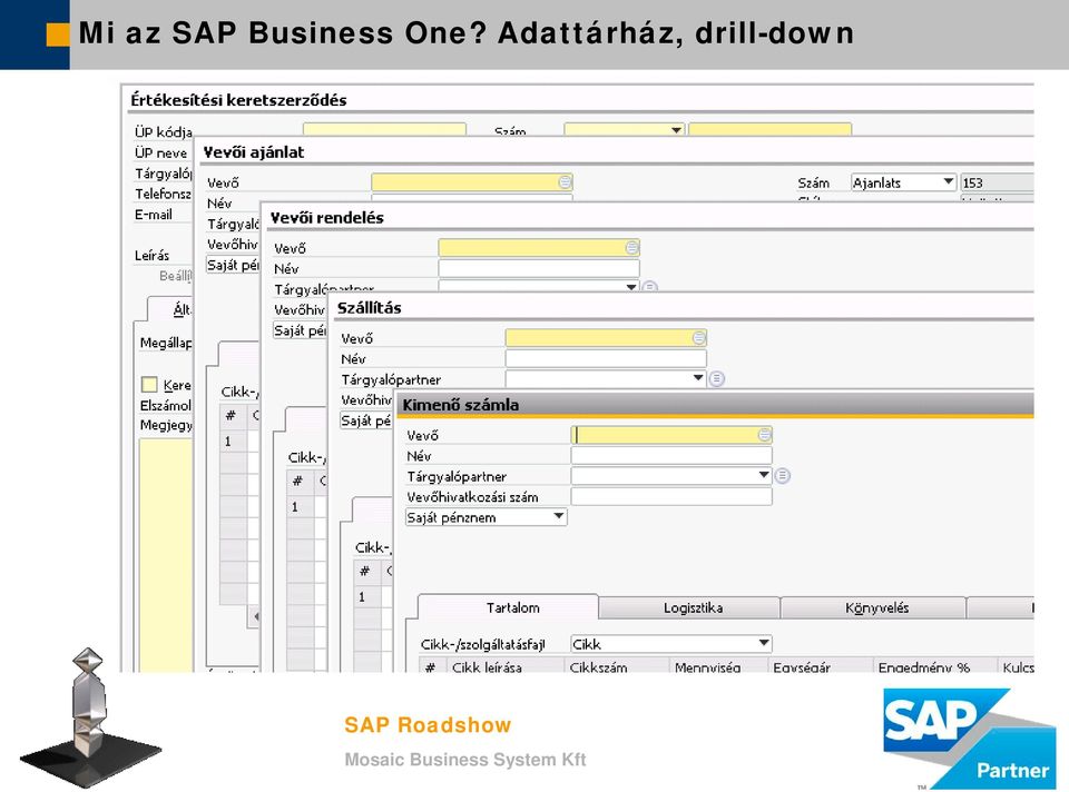 SAP Vállalatirányítási rendszer lehetőségei Szolár Vállalkozásoknak - PDF  Ingyenes letöltés