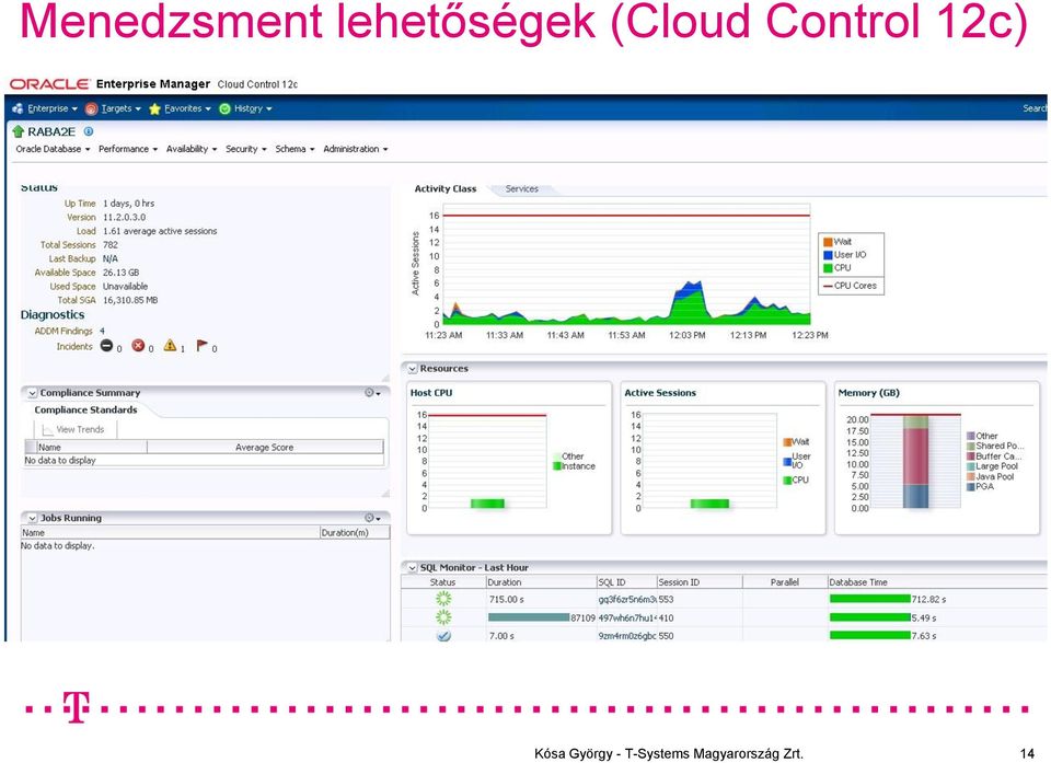 Control 12c) Kósa